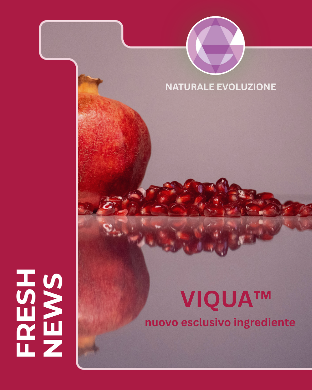 <b> VIQUA®: DALL'ESTRATTO DI MELAGRANO IL BOOSTER ANTINFIAMMATORIO CHE ARRIVA FIN DENTRO I MITOCONDRI GRAZIE ALLA TECNOLOGIA ADS (Advanced Delivery System).</b>